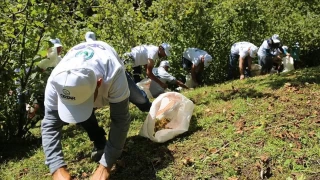 Ordu'da fndkta ii yevmiyeleri netleti