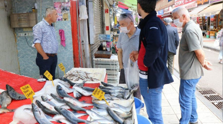 Palamut yüz göstermedi