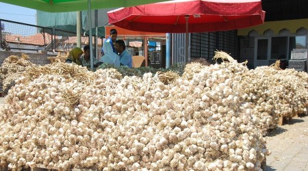 Sarımsağın fiyatı neden yükseldi?