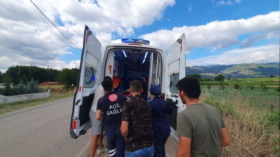 Tokat'ta hafif ticari ara tarlaya devrildi: 5 yaral