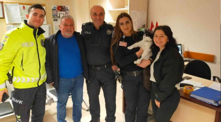 Trabzon Havalimanı'nda kedi operasyonu