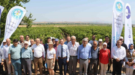 Üzümde salkım güvesine karşı biyoteknik mücadele