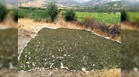 1 ton 418 kilogram esrar ele geçirildi