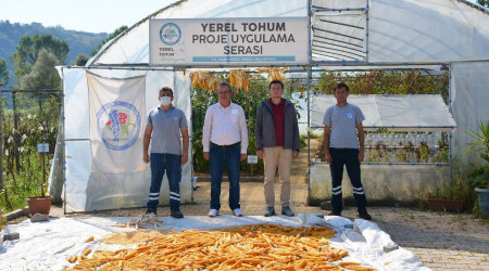 14 çeşit ürünün ata tohumları üretildi