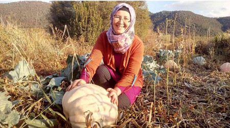 Anneannesinin sandığından çıkan tohumlar dev bal kabağı oldu