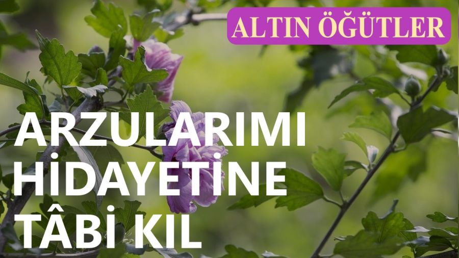 ‘Arzularımı hidayetine tâbi kıl’