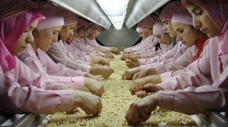 Avrupa'ya 559 ton iç fındık ihraç edildi