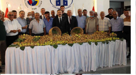 Aydın'da sezonun ilk kuru inciri 350 liradan satıldı