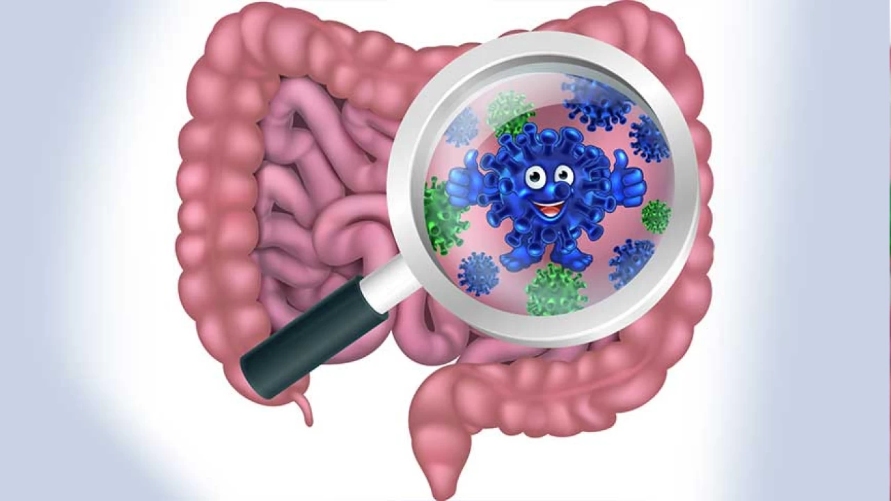 Bağırsaklarınızda trilyonlarca bakteri yaşıyor