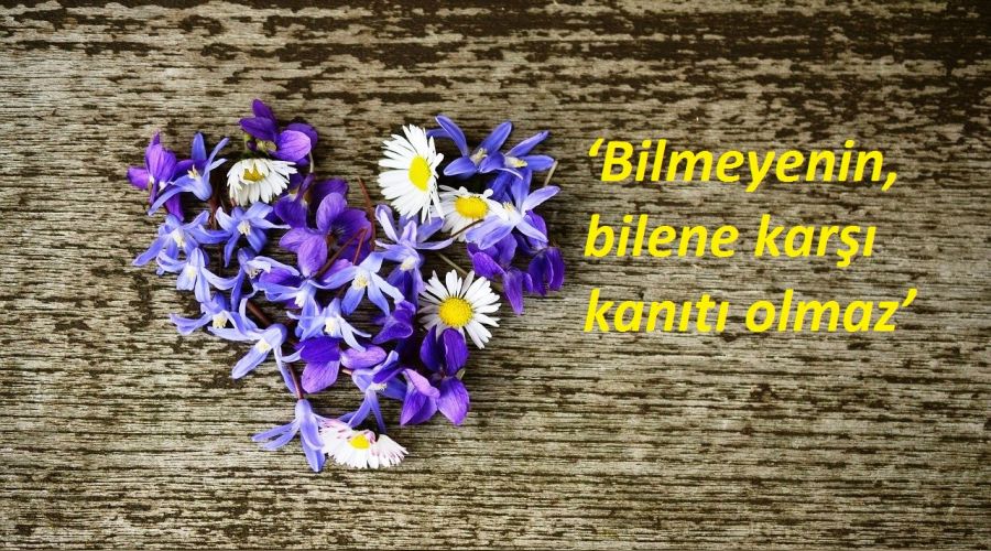 ‘Bilmeyenin, bilene karşı kanıtı olmaz’