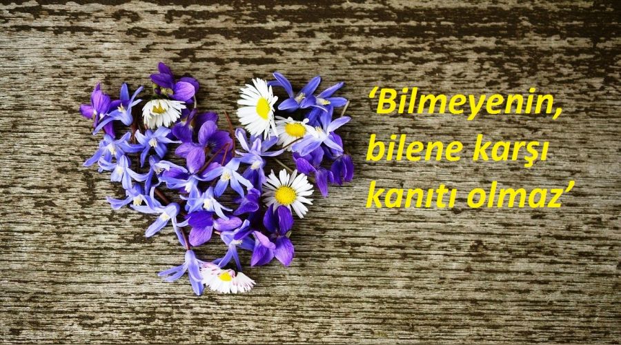 Bilmeyenin, bilene kar kant olmaz