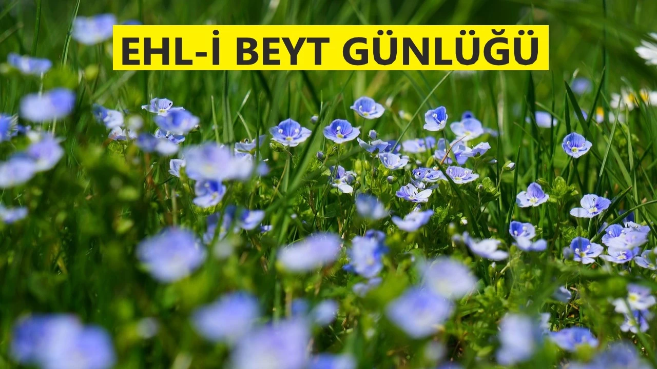 Bu tebli ancak Hz. Ali'ye aittir