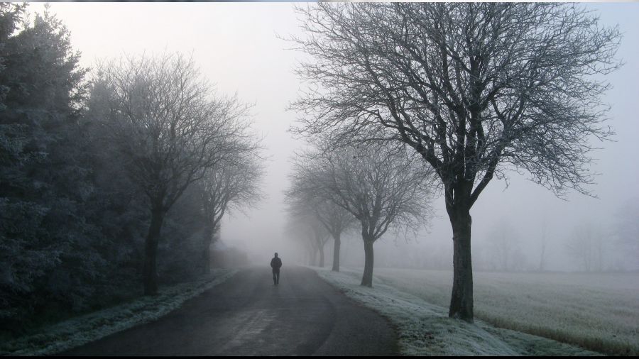 ‘Dışın bilgili ama kalbin cehalet yuvası’