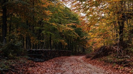Domaniç Dağlarını görmeye kalp dayanmaz