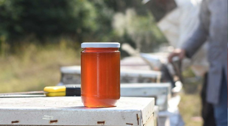 Dünyanın ağzının tadı Bursa'dan