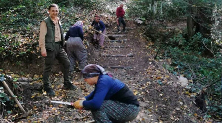Dünyanın en sıcak noktasında bir ağaç müzesi