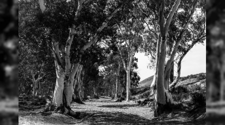 Ehl-i Beyt’e zulmedene şefaat yoktur