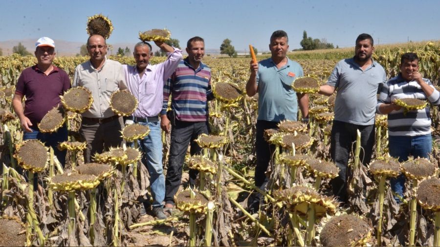 Elbistan'da 'siyah altın' için hummalı çalışma