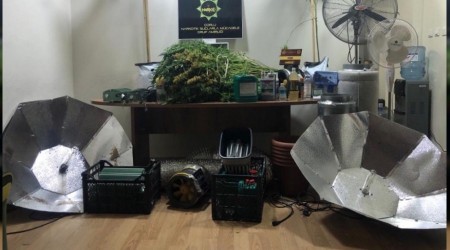 Evini kenevir tarlasına çevirmiş