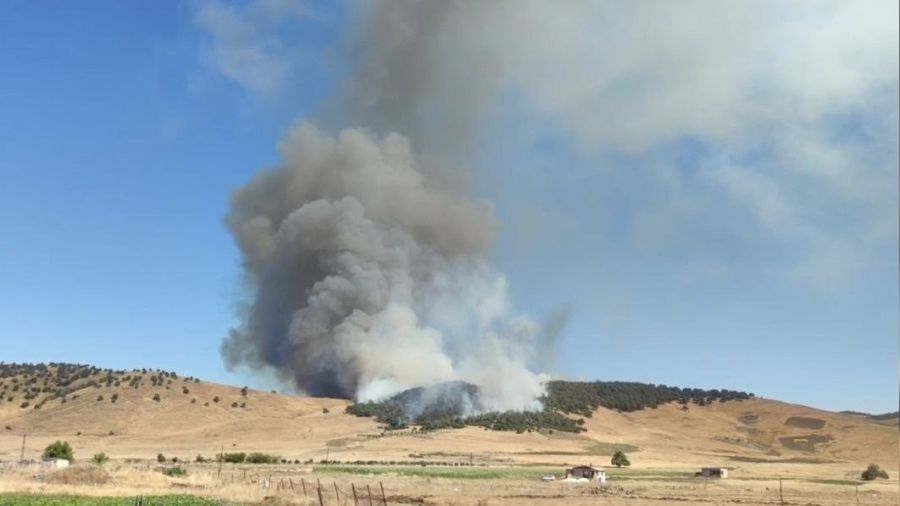 Gaziantep'te korkutan orman yangını