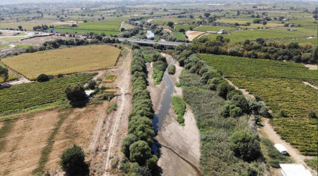 Gediz Nehri kuruma noktasına geldi