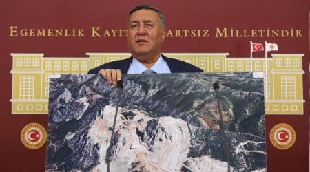 'Hokus pokusla ormanlar arttı'