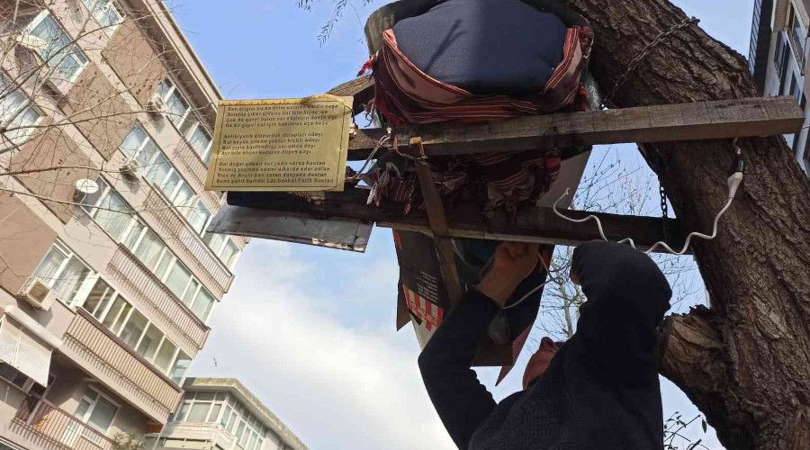 Kadıköy'de Laz bakkalın sosyete arıları elektrikli battaniyeyle ısındı