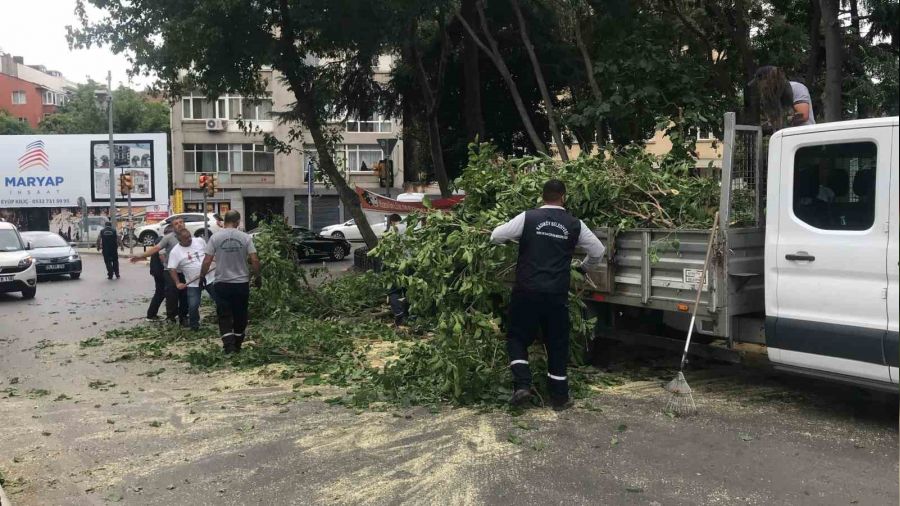 Kadky'de iddetli rzgr aac devirdi