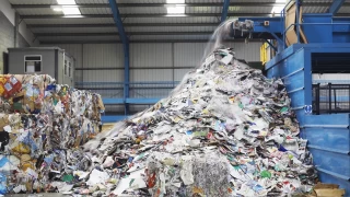 Kağıdın geri dönüşümü ağaçları kesilmekten kurtarıyor