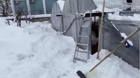 Kahramanmaraş'ta ceviz seraları zarar gördü