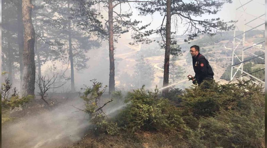 Kastamonu'da orman yangn bymeden sndrld