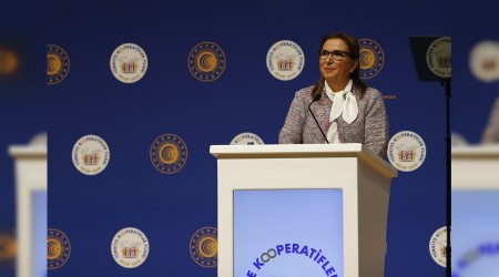 Kooperatif çok, etkileri yok