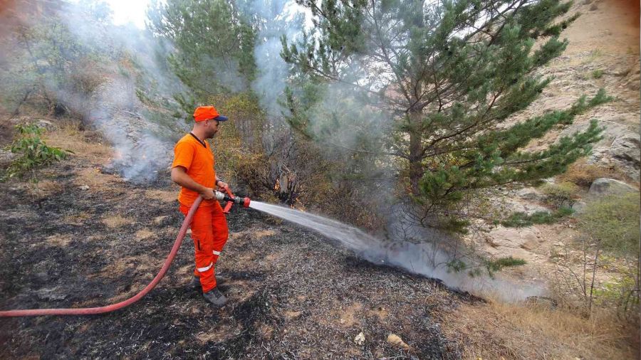 Kopan elektrik teli yangına neden oldu