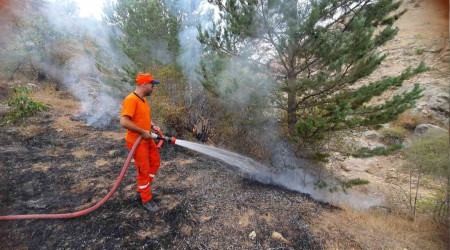 Kopan elektrik teli yangına neden oldu