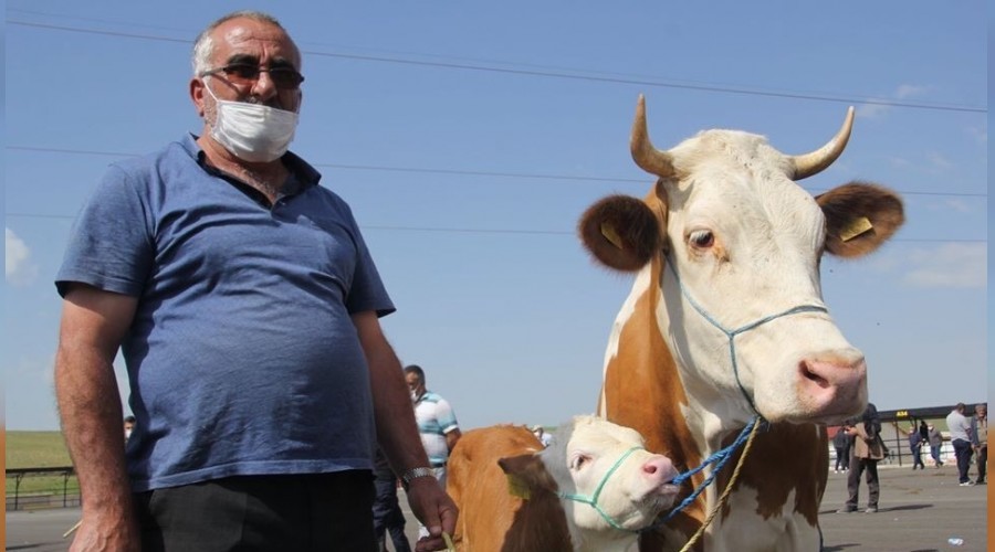 Kurban tedbirleri açıklandı