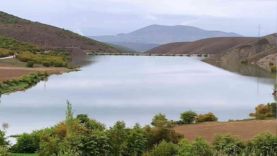 Kurmuştu, yeniden hayat buldu