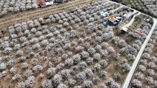 Malatya beyaz gelinliini giydi