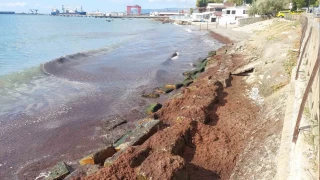 Marmara Denizi'nde kzl yosun alarm