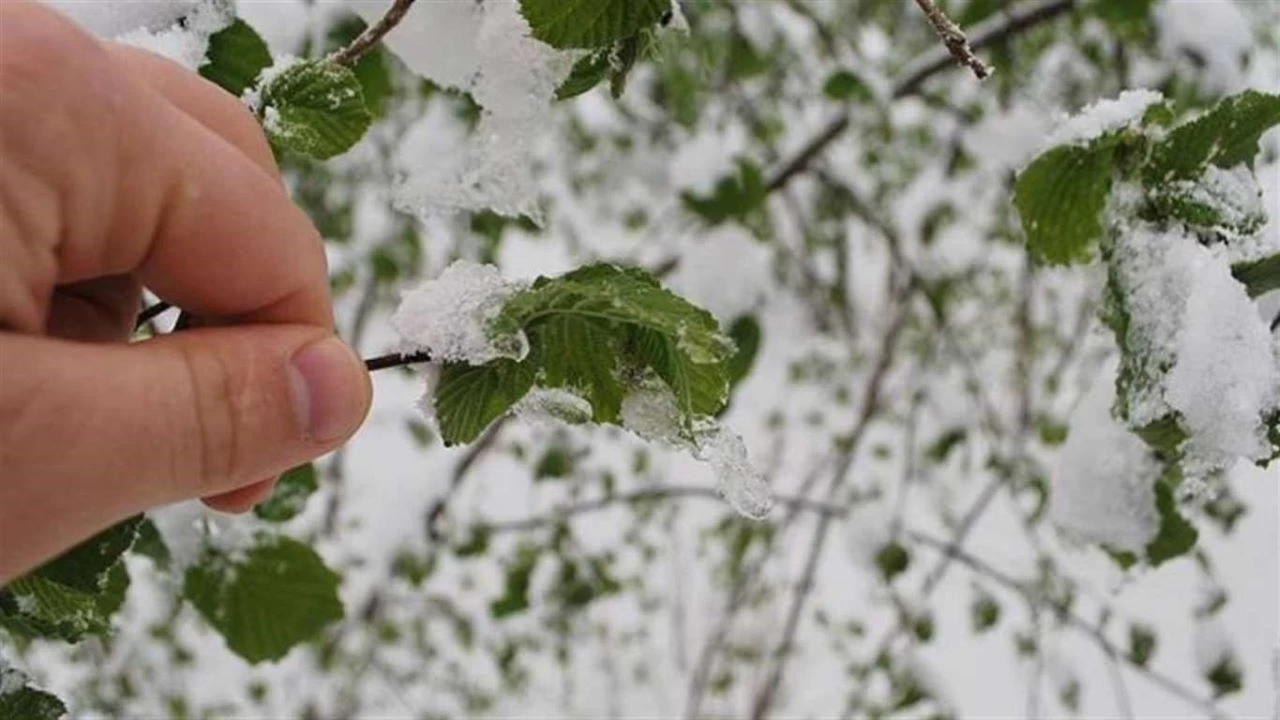 Meteorolojiden zirai don uyars