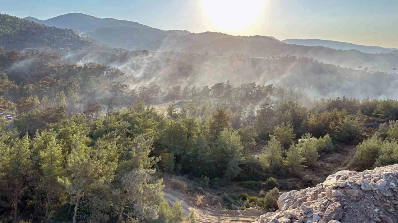 Milas'ta havadan karadan soğutma çalışması yapılıyor