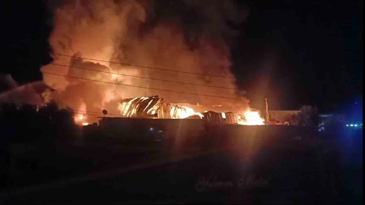 Muğla tersaneler bölgesindeki yangın