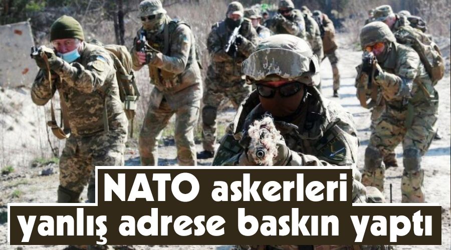 NATO askerleri yanlış adrese baskın yaptı