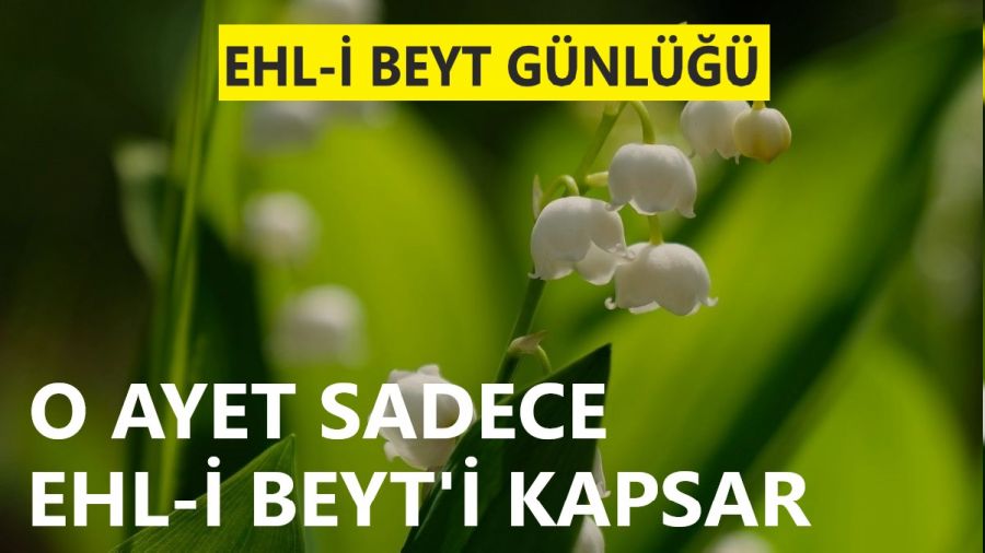 O ayet sadece Ehl-i Beyti kapsar