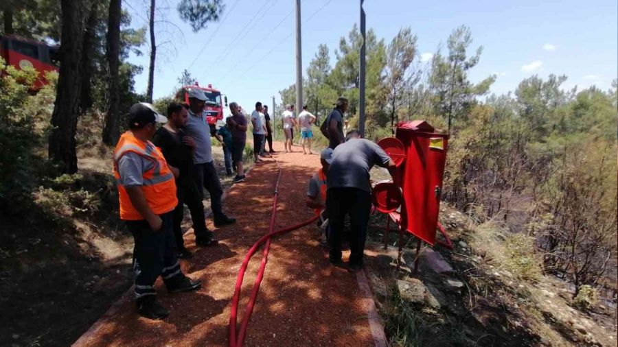 Ormanlık alanda yangın büyümeden söndürüldü