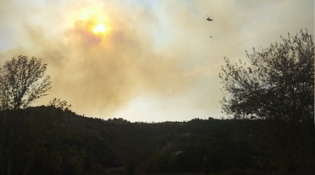 Osmaniye'de orman yangını evlere sıçradı