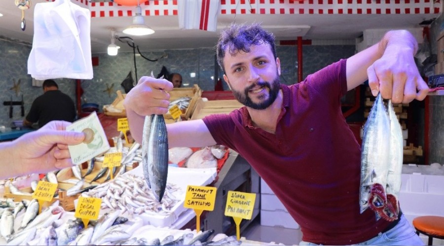 Palamut 1 günde 4 TL düştü