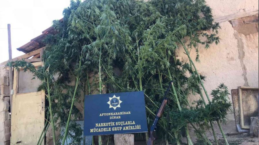 Polis baskın yaptığı adreste karşılaştığı manzarayla adeta şok yaşadı