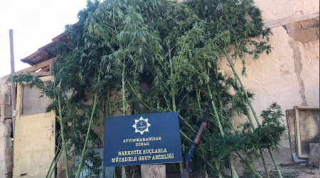 Polis baskın yaptığı adreste karşılaştığı manzarayla adeta şok yaşadı