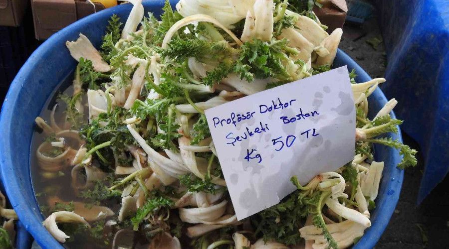 'Profesör doktor' lakaplı otun fiyatı etle yarışıyor