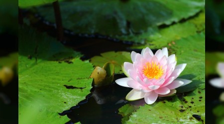 ‘Rızkın geciktiğinde çok istiğfar et’